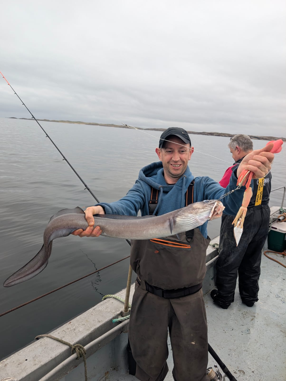 Conger eel