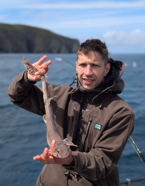 Lesser spotted dogfish
