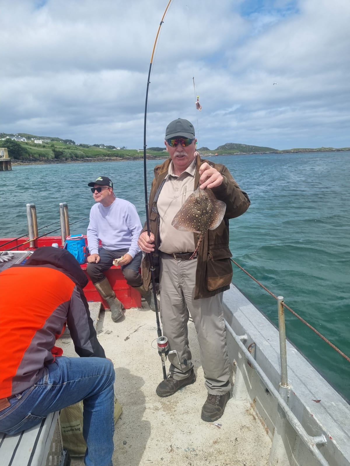Thornback ray