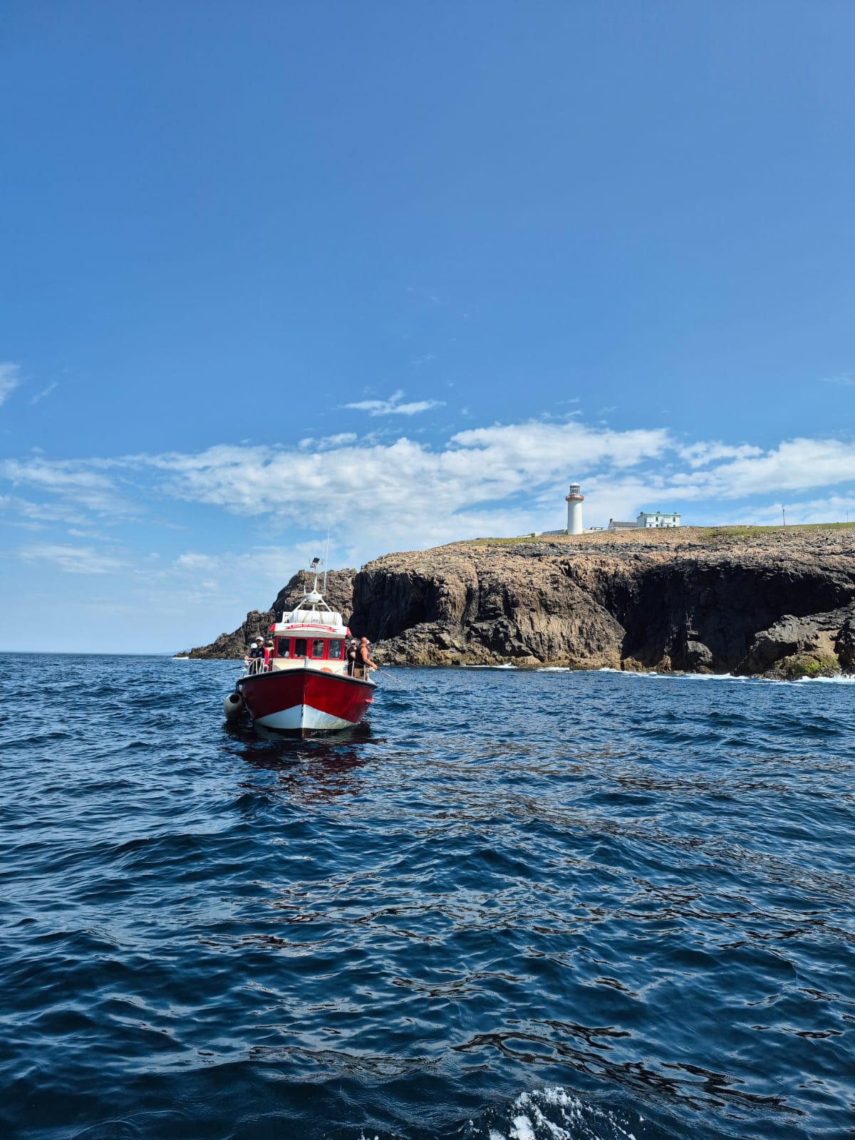 Arranmore boat tour from Burtonport